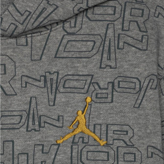 Air Jordan Take Flight Kids Hoodie ''Grey''